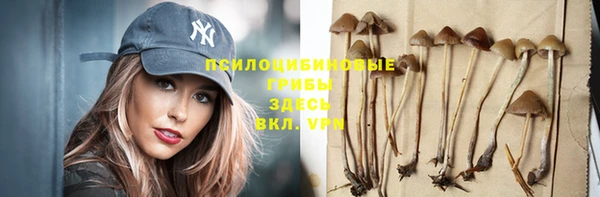 мет Нефтегорск