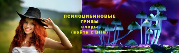 мет Нефтегорск