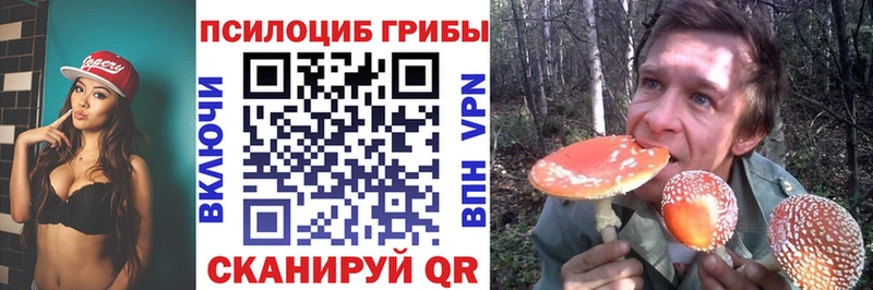 Купить где Ува Псилоцибиновые грибы Psilocybine cubensis